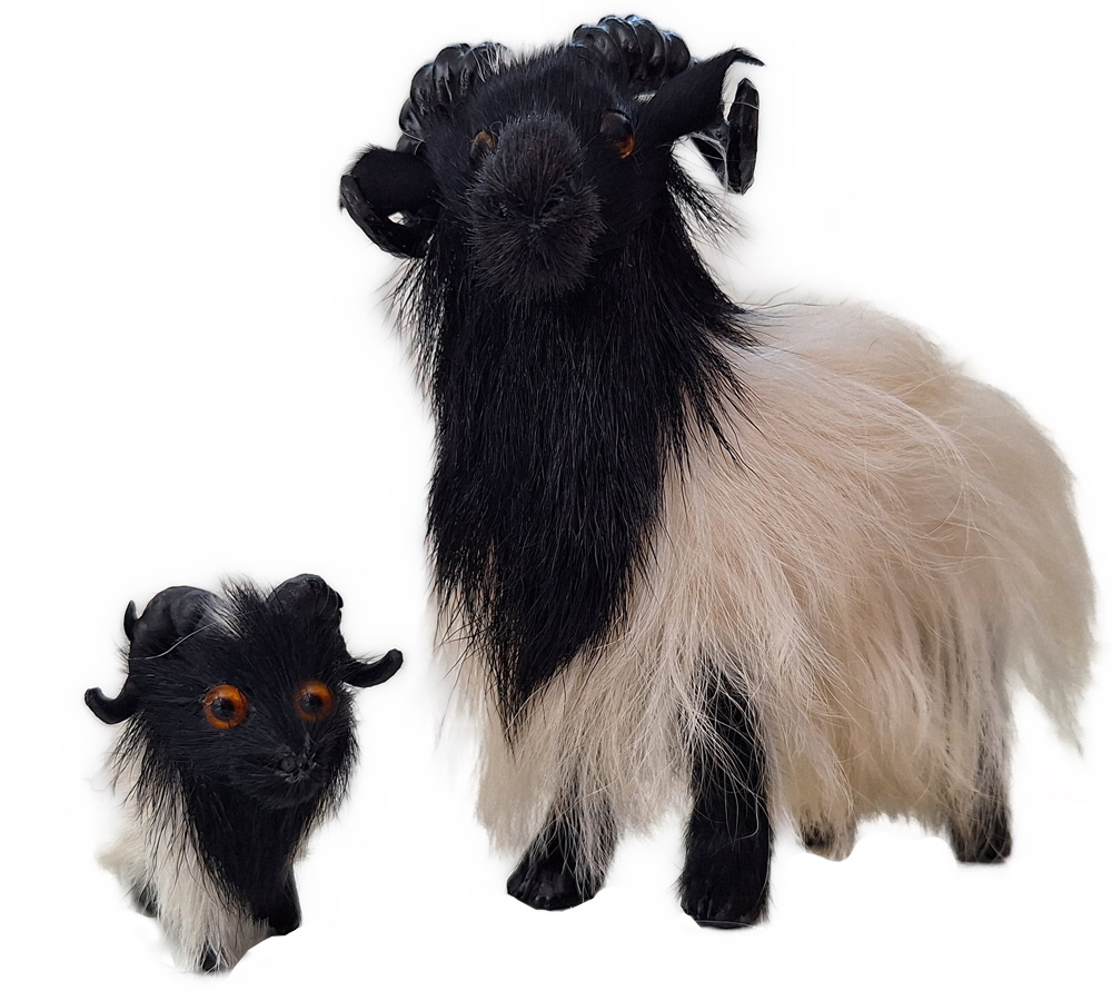 Schnuckenschaf & Schnuckenlamm